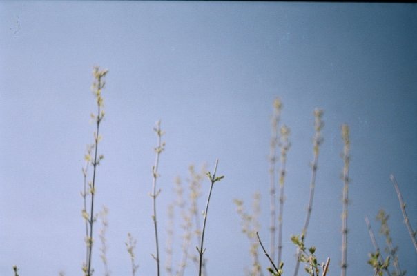 №88, Лера Торицына, 30 лет №88, Лера Торицына, 30 лет