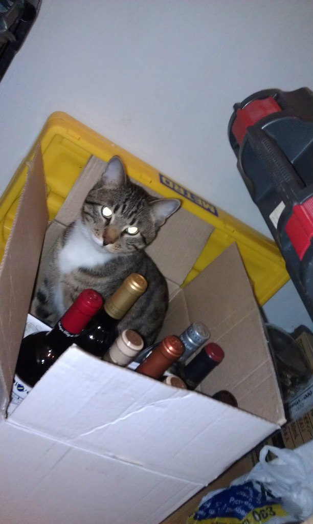 Юлия Романяк | Санкт-Петербург