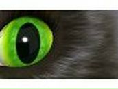 Альбина Баширова | Кумертау