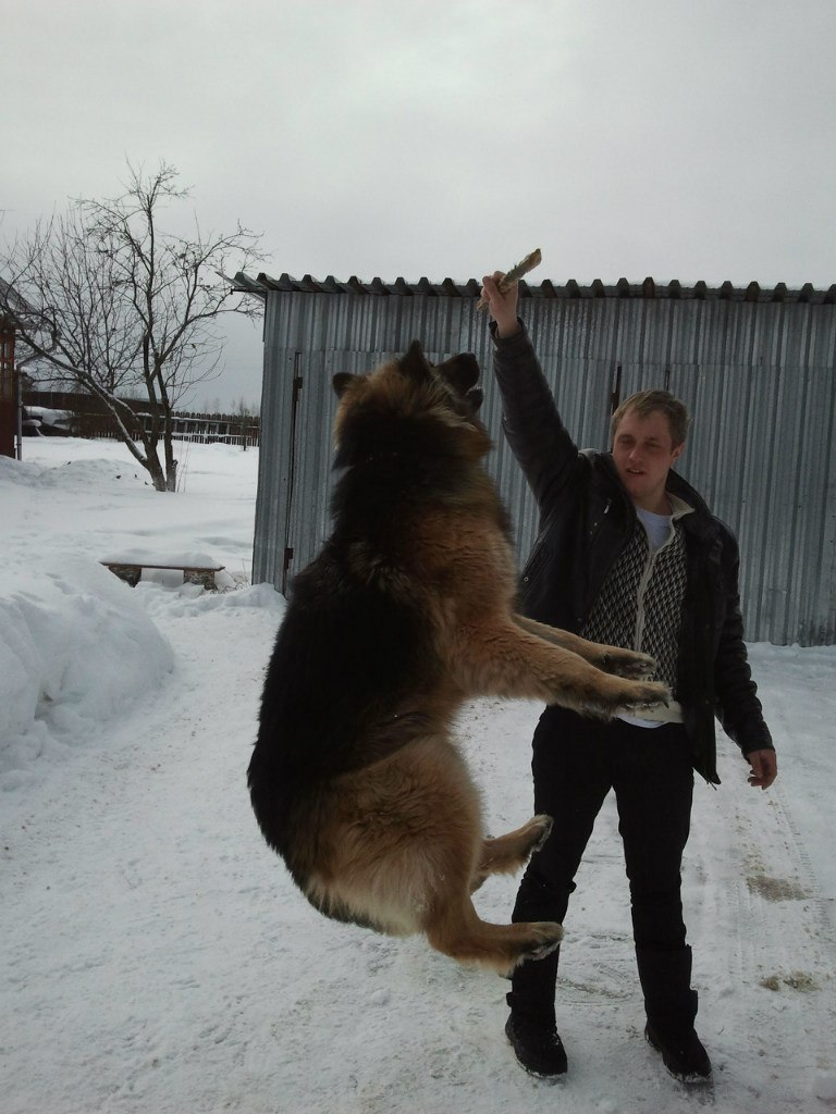 Сергей Юрьевич | Королёв