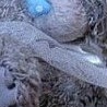 №23 Екатерина Белякова 12.08.1994: профиль, фото, статус - ВКонтакте