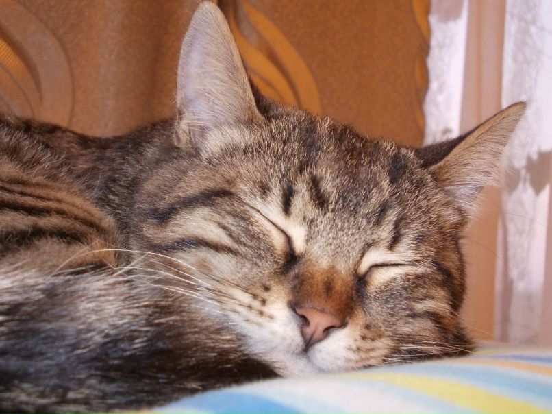 Юля Евтропова | Кишинев