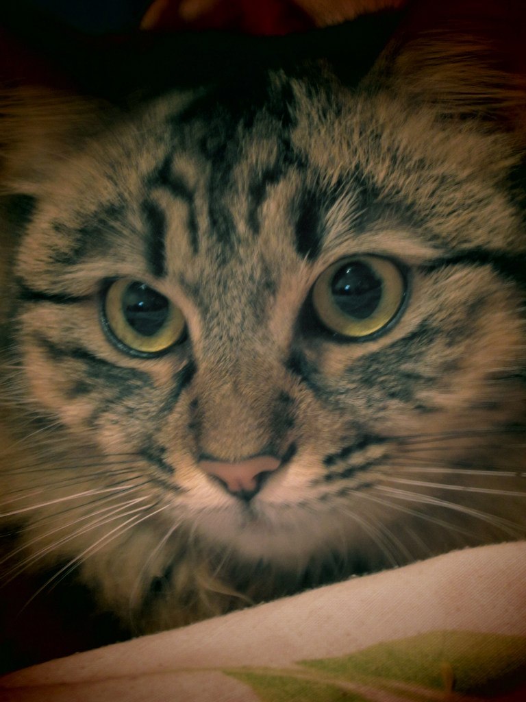 Елена Хуцкая | Черкассы