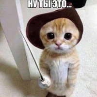 Алексей Сторожев | 