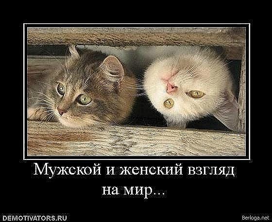 Наталья Федосеева | Санкт-Петербург