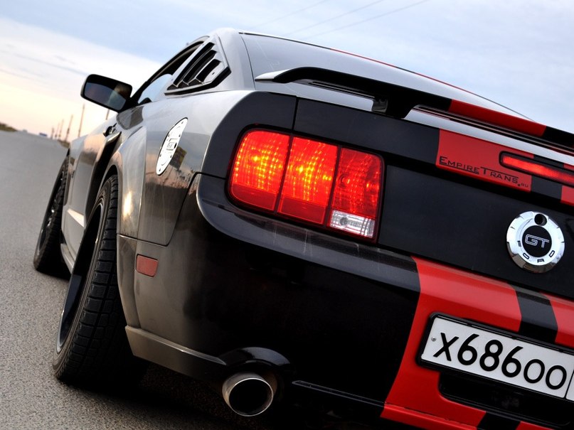 Мария Цибина | Нижний Новгород