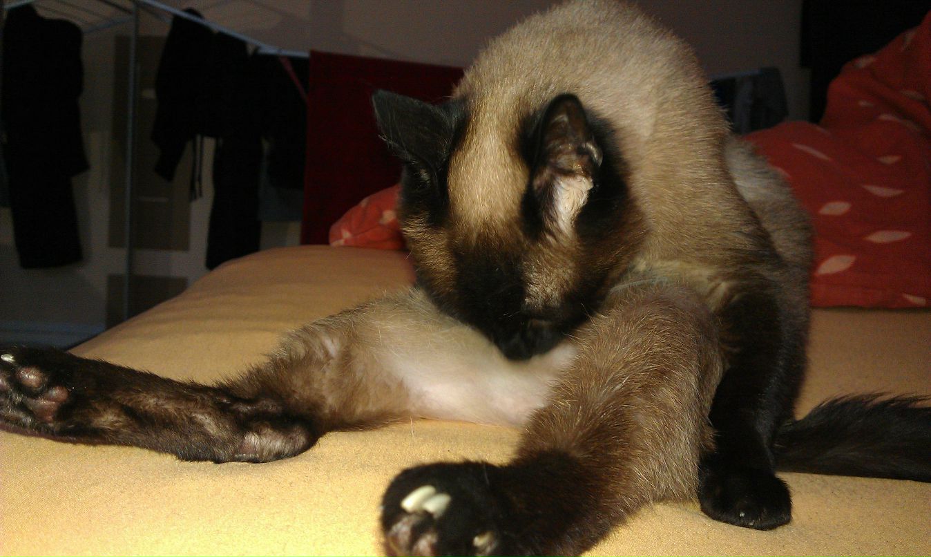 Anastasia Janzen | Berlin