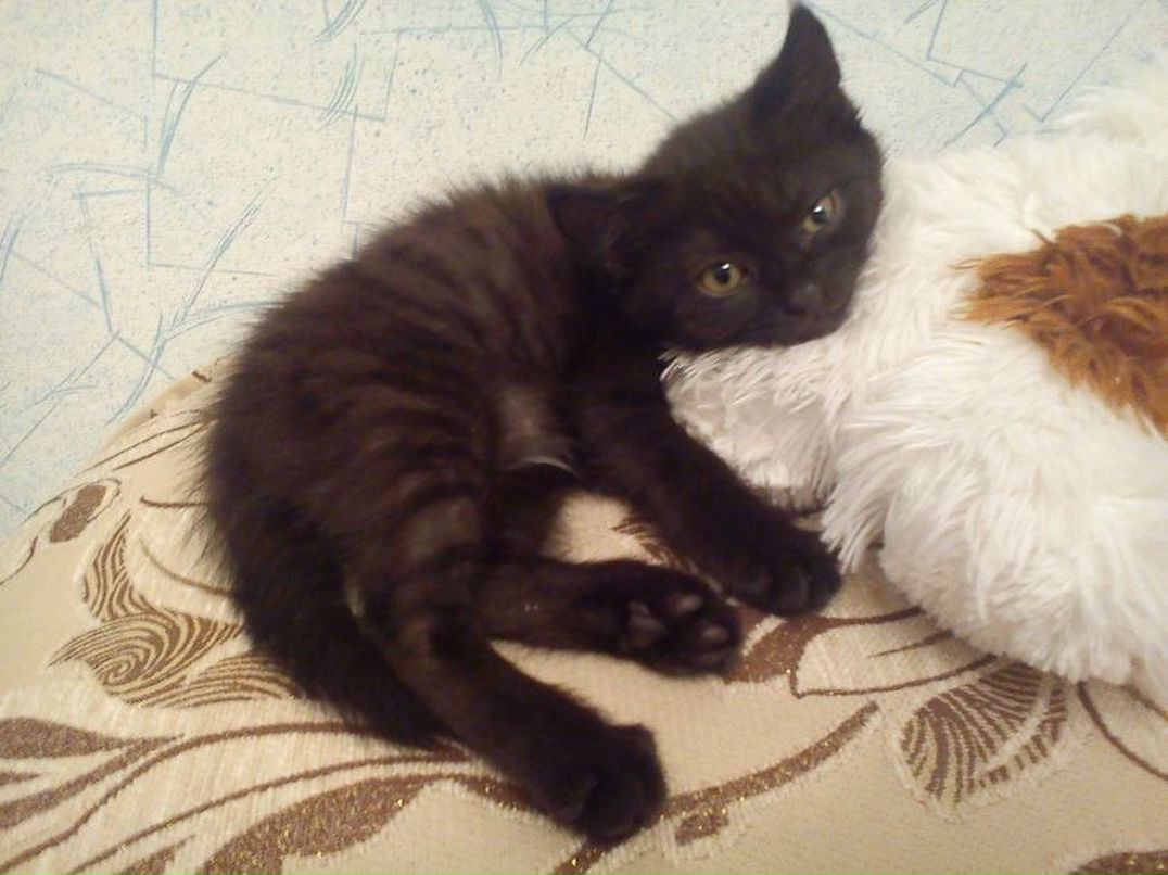 Василий Гаврилов Александрович | Пермь