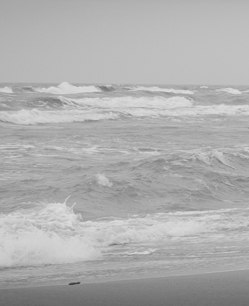 Максим Кравец | Минск