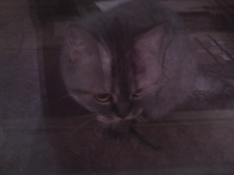 Анна Гайткулова | Запорожье