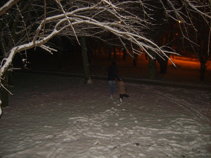 Александр Фалалеев | 