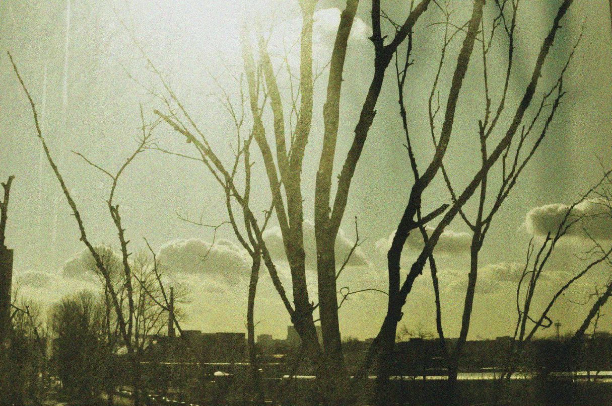 Алина Никулина | Санкт-Петербург