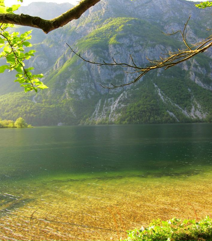 Арина Курнаева | Москва