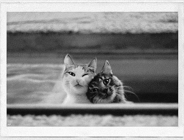 №105, Анастасия Козырева, Москва №105, Анастасия Козырева, Москва