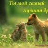 Аватар: Я-Твой-Друг Дружков
