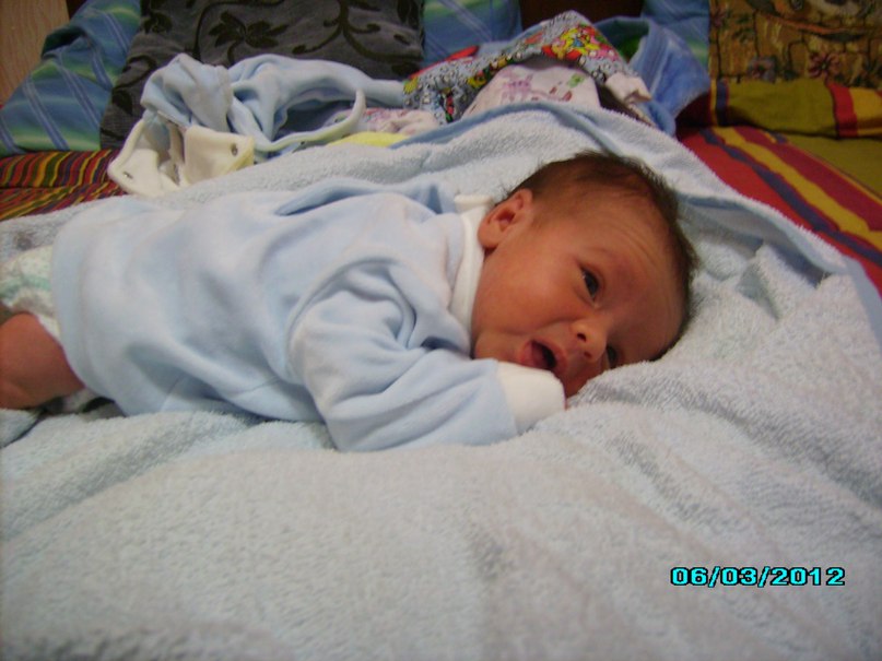 Інна Поджарова | Нелиповцы