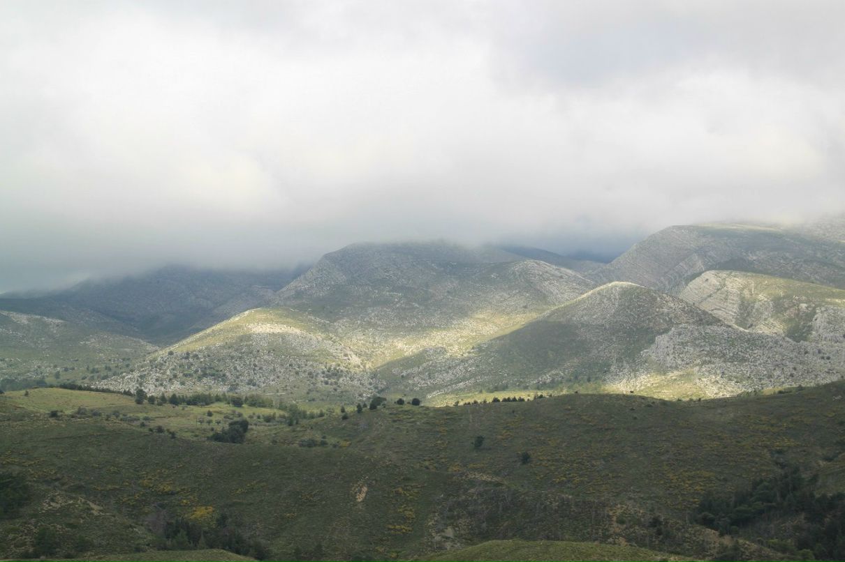 Ronald Shipitsyn | Беэр Шева