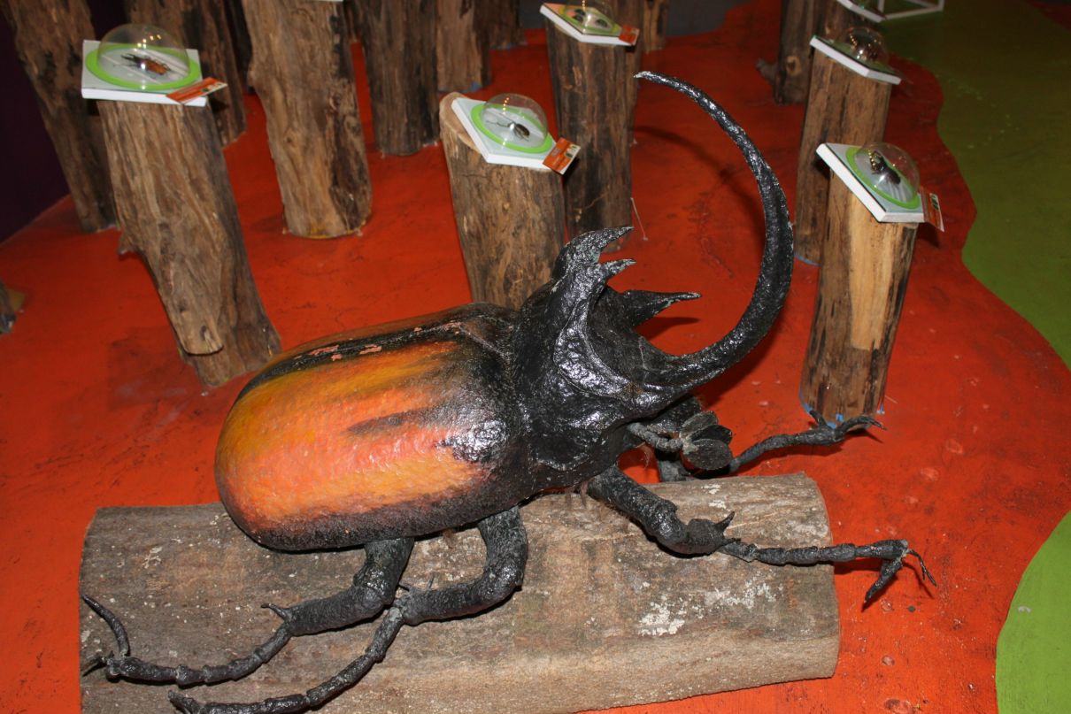 Екатерина Bogi | Санкт-Петербург