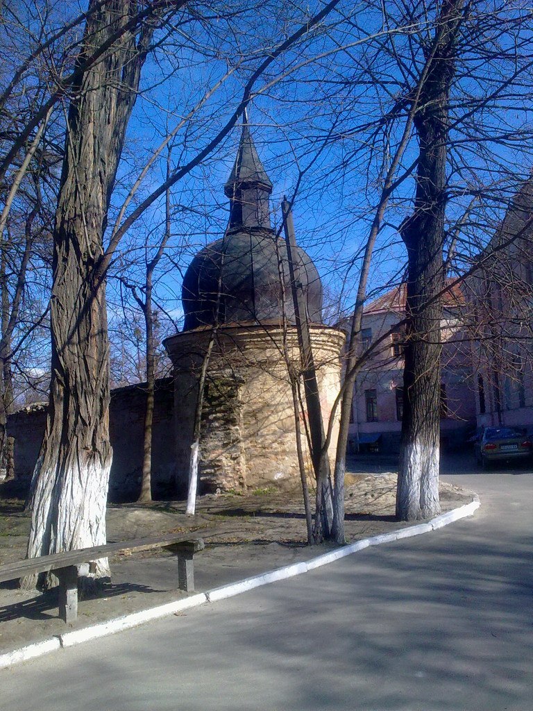 Лана Прокофьева | Киев