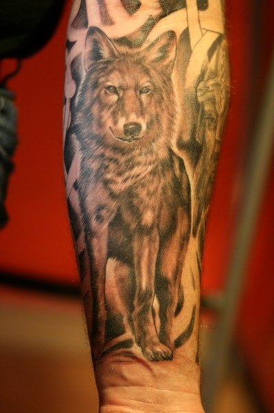 Марсель Мингазов | Альметьевск