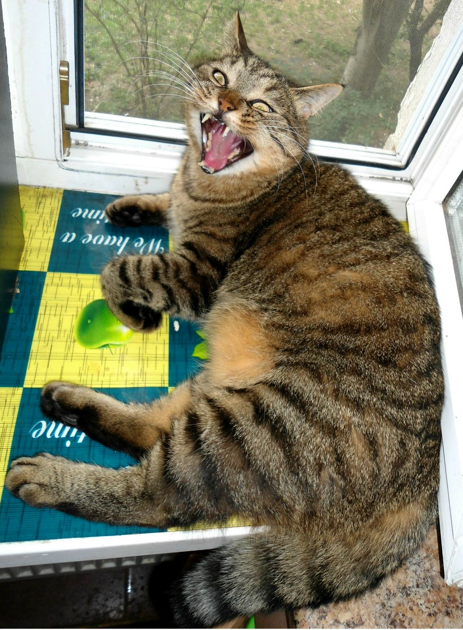 Катерина Славинская | Николаев