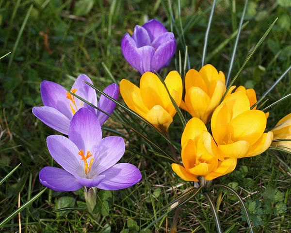 Алёна Антощук | Житомир