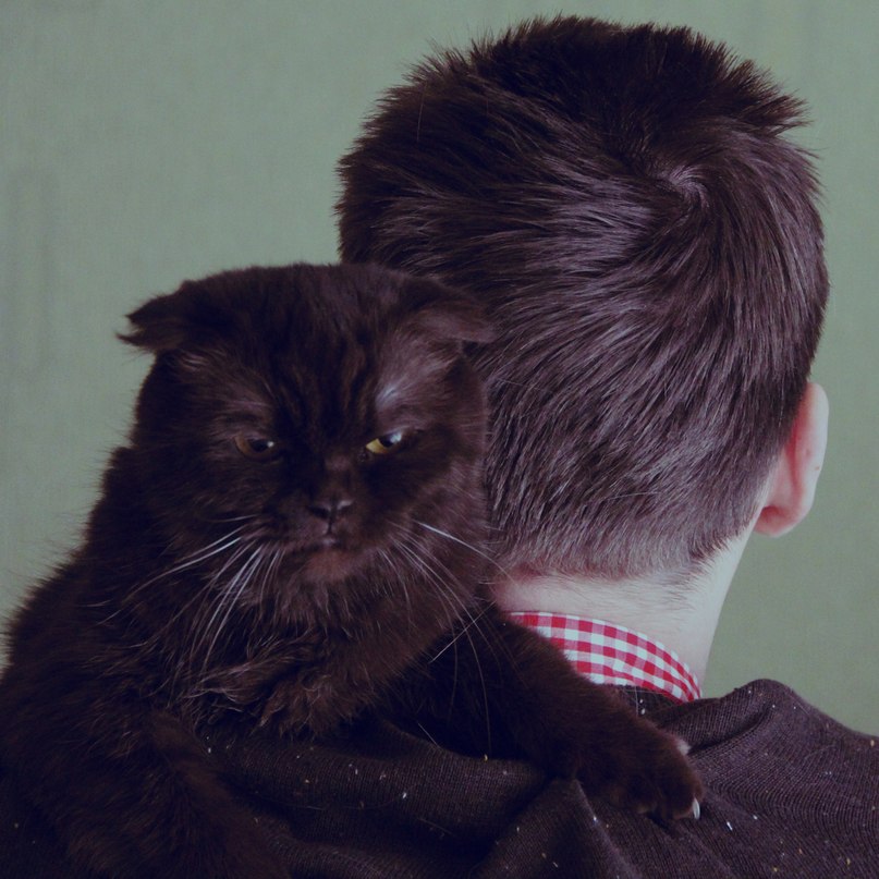 Даниил Карнаухов | Волгоград