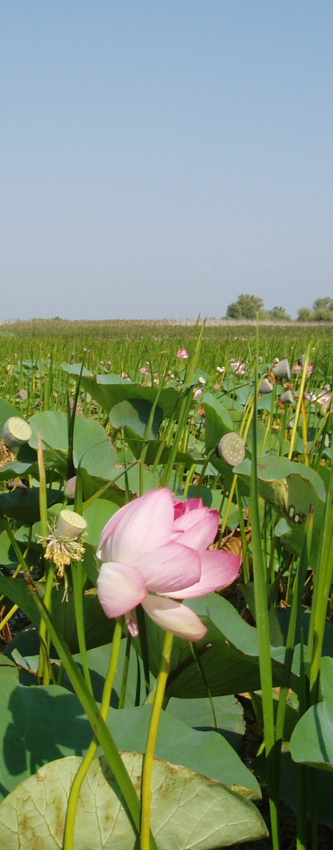 Настя Ганева | Пермь