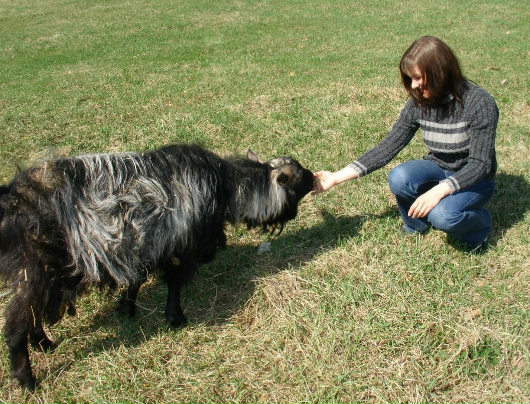 Галина Селиванова | 