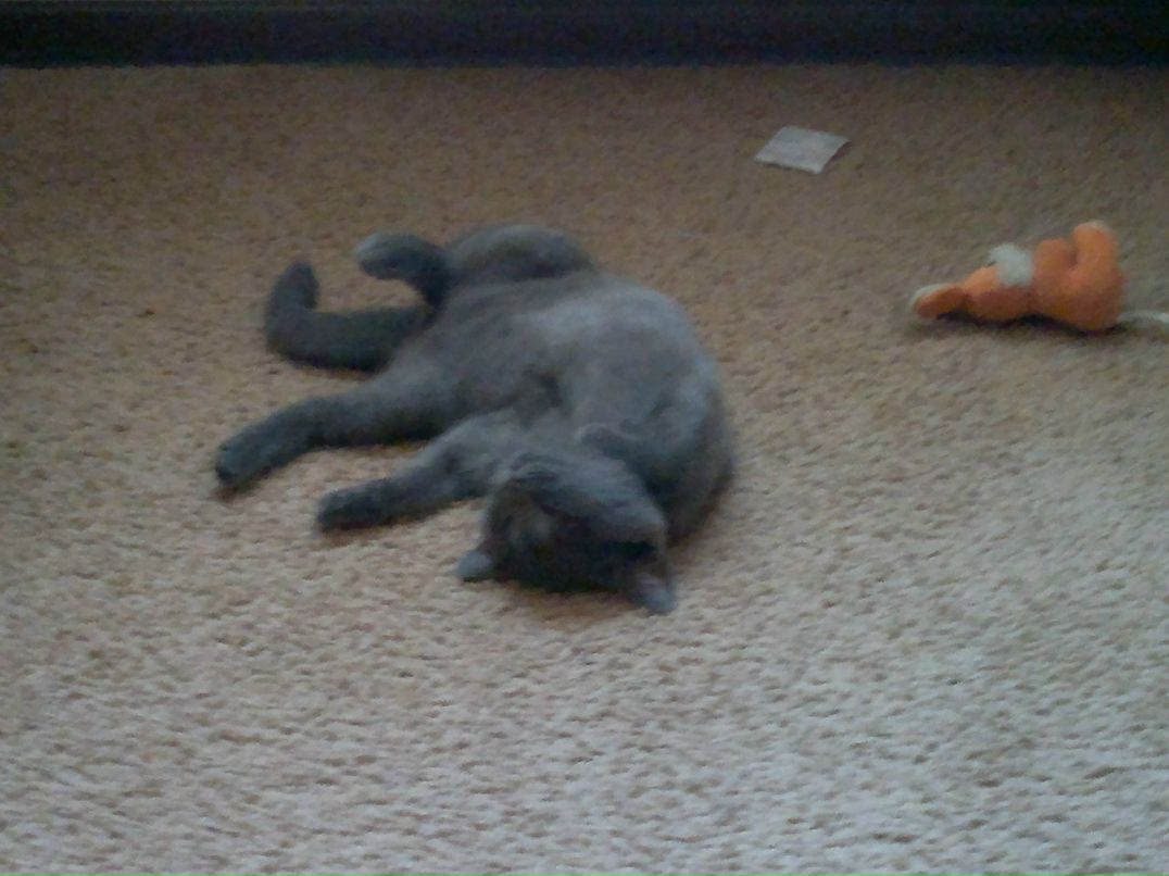 Диана Исламгулова | Уфа