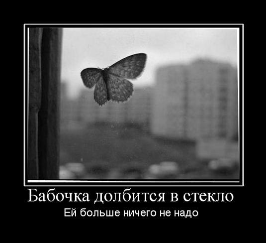 Валерия Свириденко *= | Киев