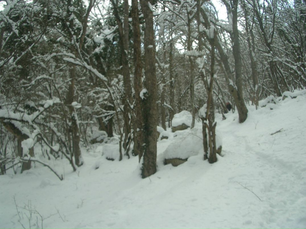 Аня Ледней Дмитриевна | Запорожье