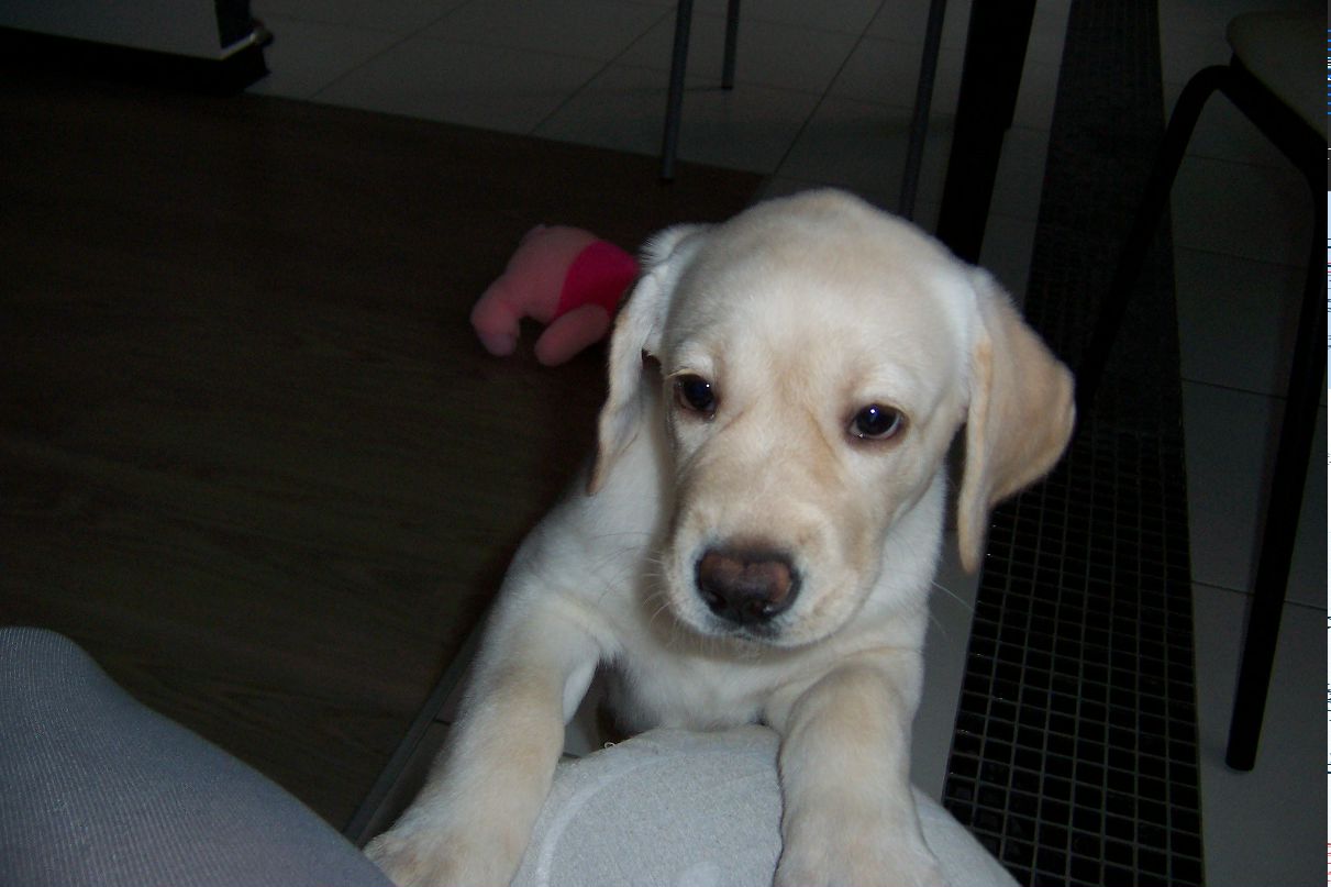 Анастасия Хлопова | Киров