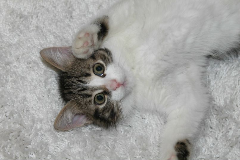 Ольга Кузнецова | Зеленоград