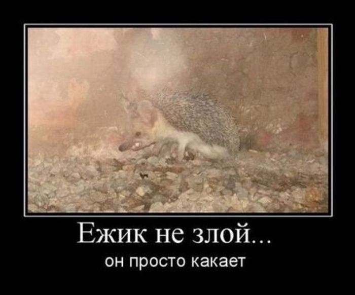 Александр Фадеев andr0 | Москва