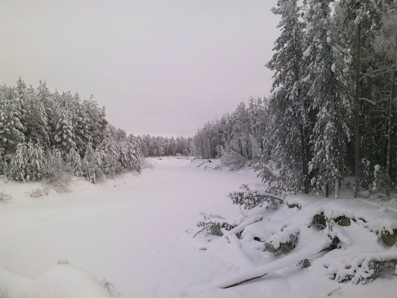 Алексей Суровцев | Самара