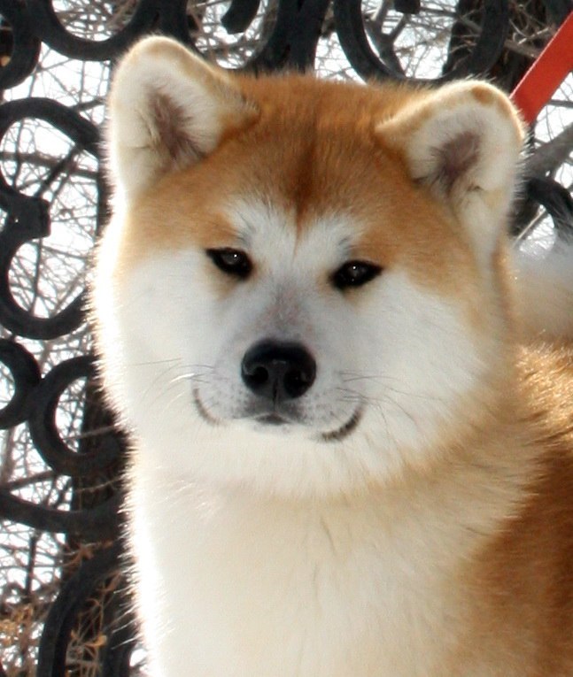 Александр Скобликов | Харьков