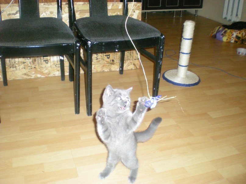 Марина Шевченко | Харьков