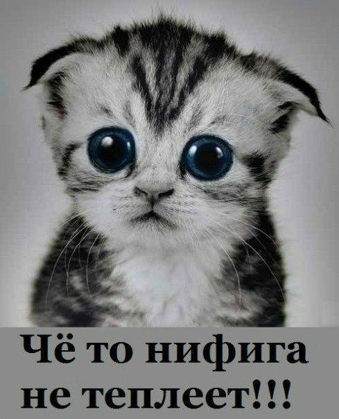 Лилия Камалиева | Ульяновск