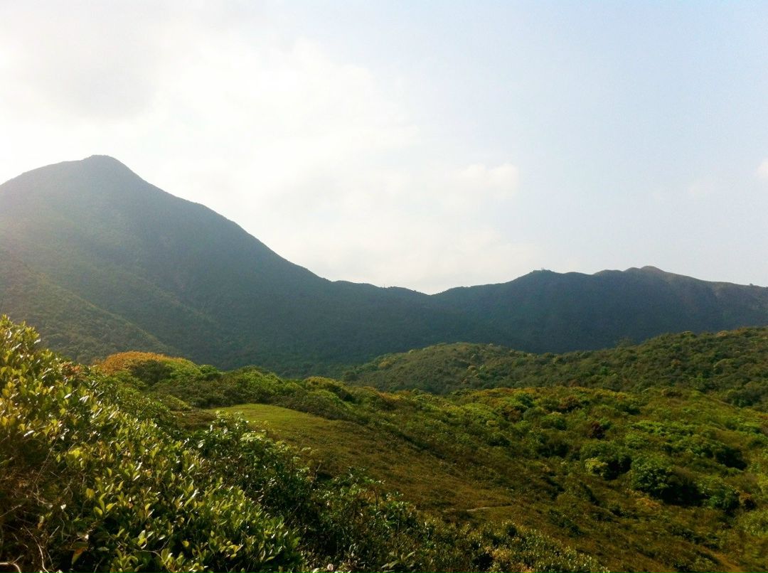 Женя Троцан 