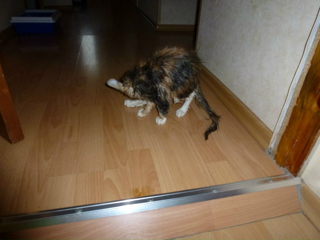 Олег Брехов F®@G | Ульяновск