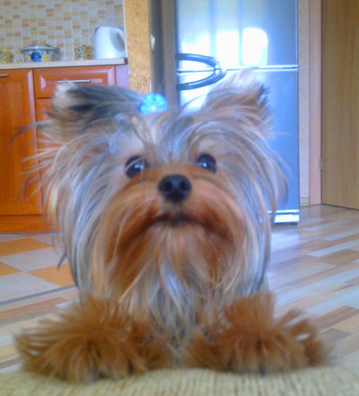 Лилия Рыбакова | Калининград