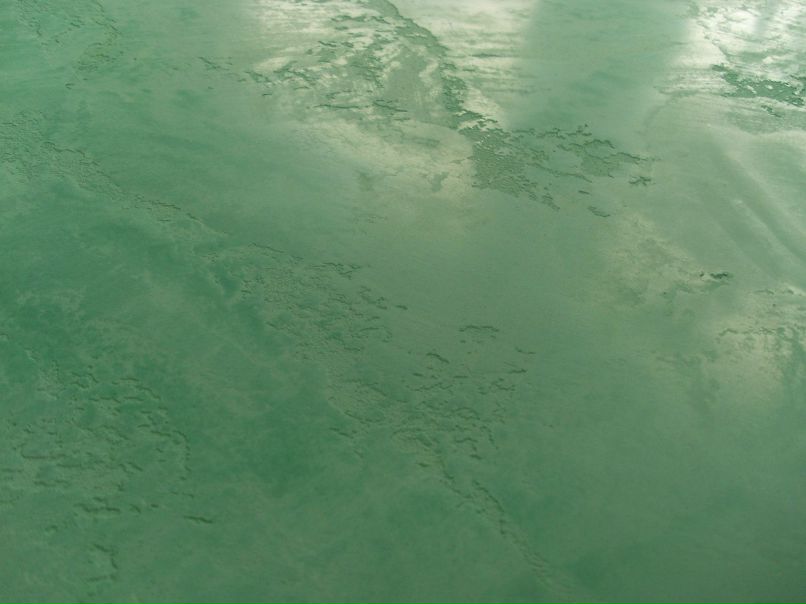 Андрей Пустовойтенко | 