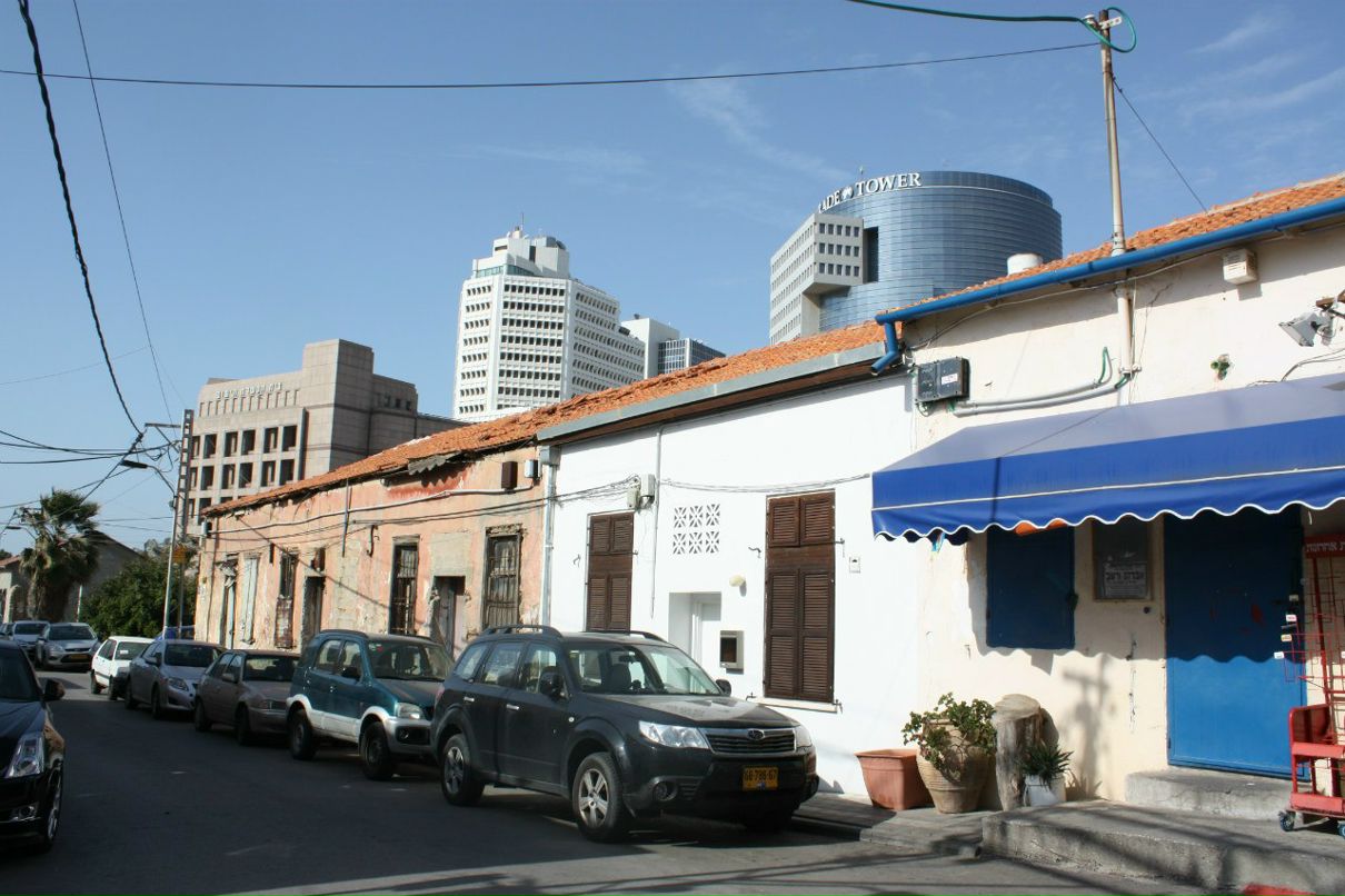 Елена Ерихова | Тель-Авив