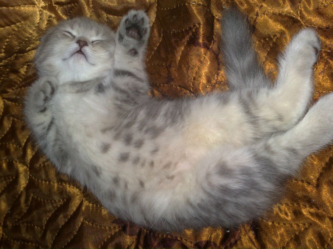 Елена Архипова | Екатеринбург