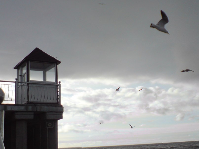 Светлана Шитикова-Гуськова | Калининград