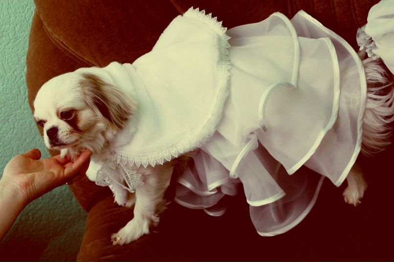 Яна Мисковец | Минск