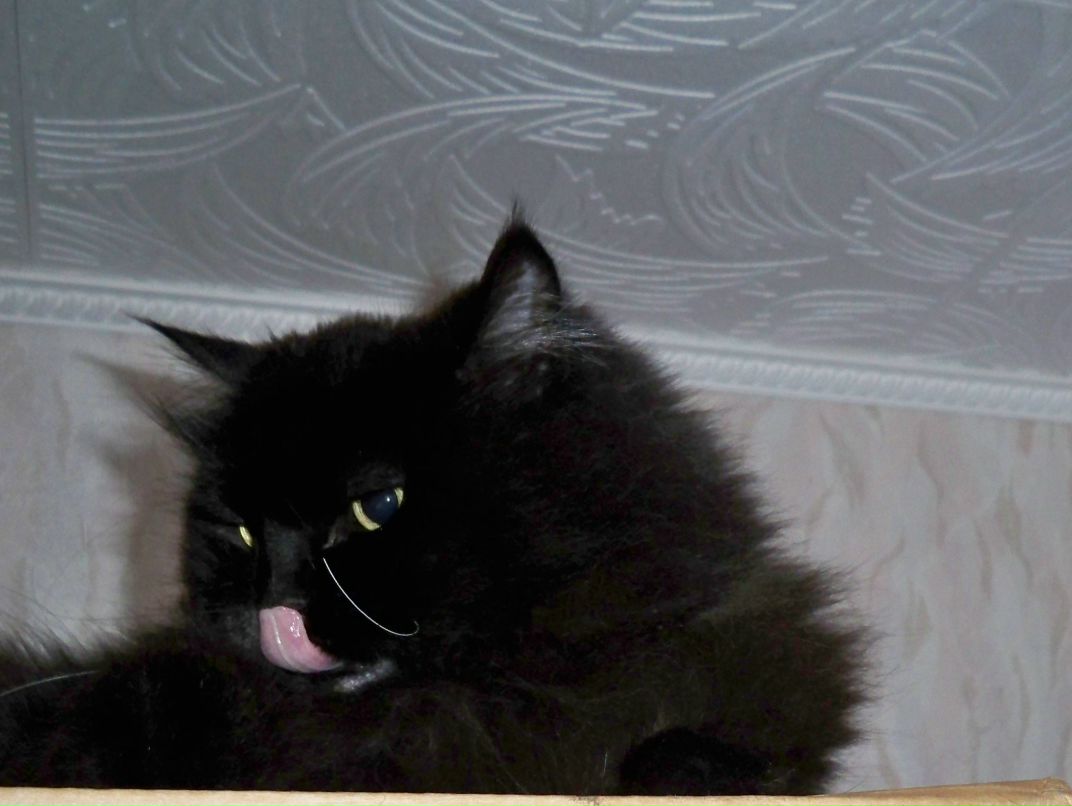 Таня Филиппова | Оренбург