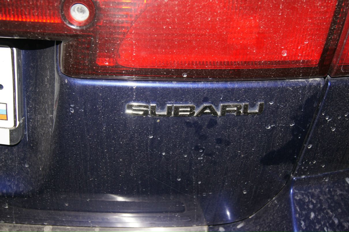 Вячеслав Лисьих | Сургут