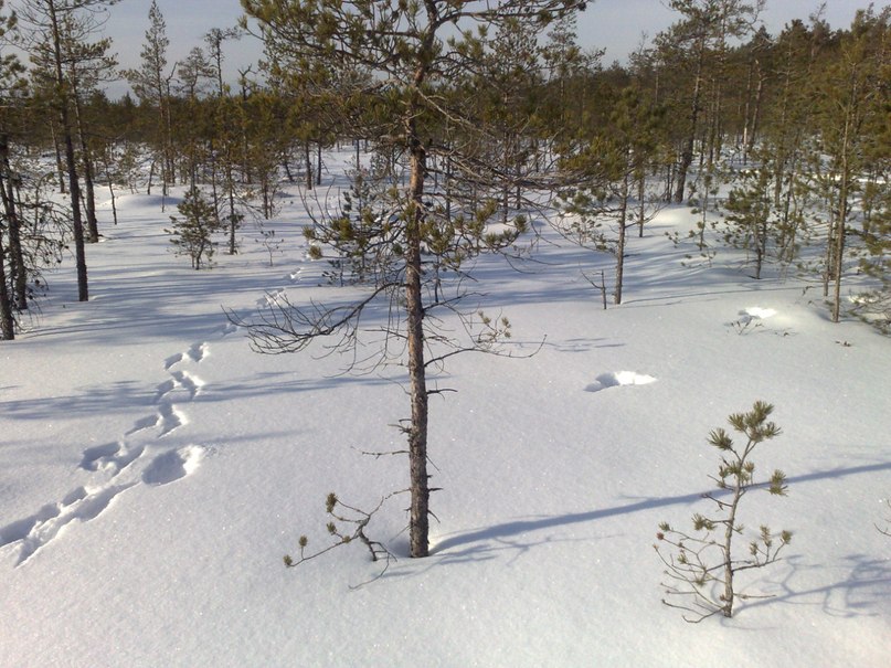 Антон Валетов | Санкт-Петербург